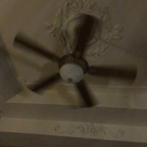 Meet your Posher, Leo